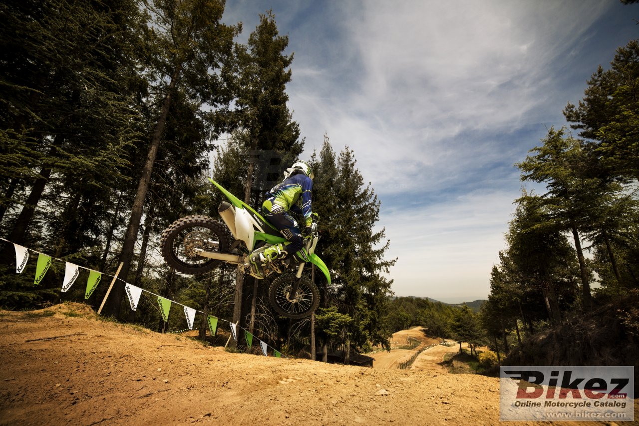 2016 kawasaki 450f